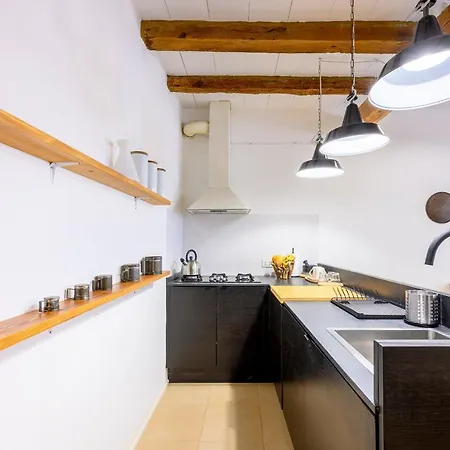 Skylight Duplex In Historic Center アパート パルマ